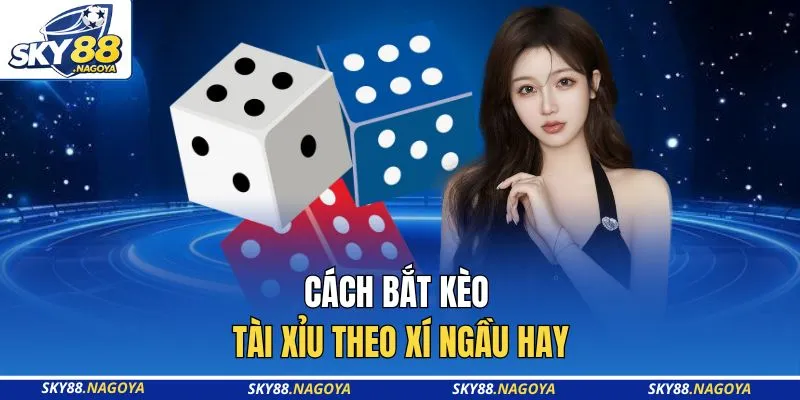 Bắt Kèo Tài Xỉu Theo Xí Ngầu Sky88 Đỉnh Nhất Năm 2026 2 Cách bắt kèo Tài Xỉu theo xí ngầu hay